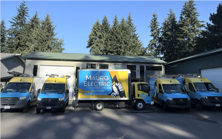 Fleet of Mauro Electric service vans in blue and yellow parked outside a workshop on a sunny day, with tall trees in the background.